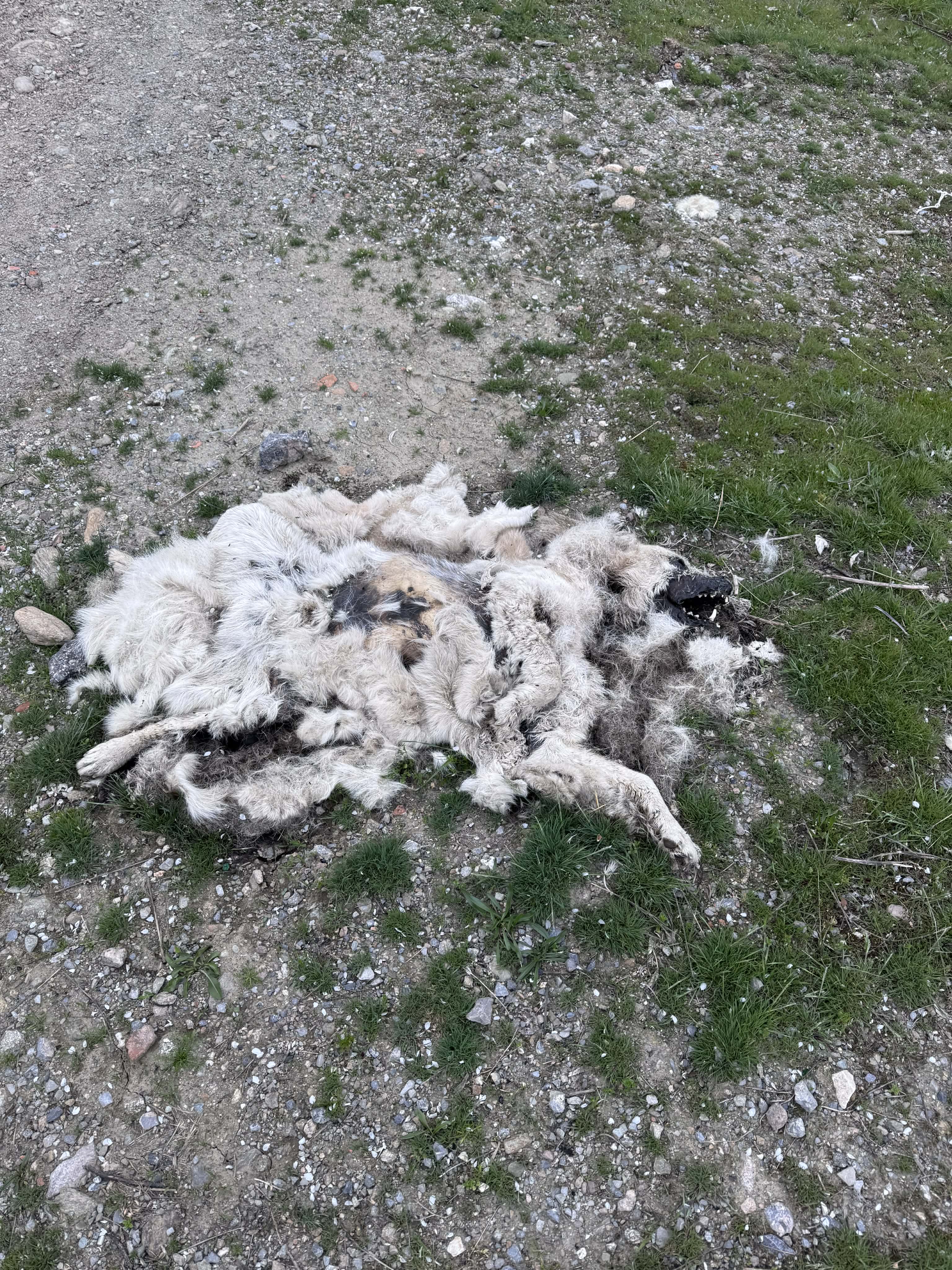 Безотговорността на една община
